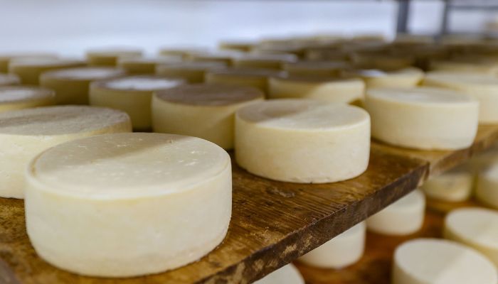 Foto: José Fernando Ogura/Arquivo AEN Paraná adere a convênio que concede isenção do ICMS para queijo, requeijão e doce de leite